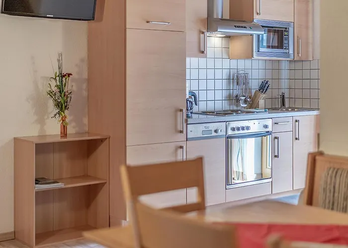 Haus Birkenheim Guest house